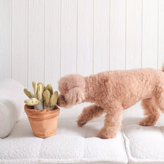 Jouet d'enrichissement Veggie Garden Nosework - Pups & Bubs