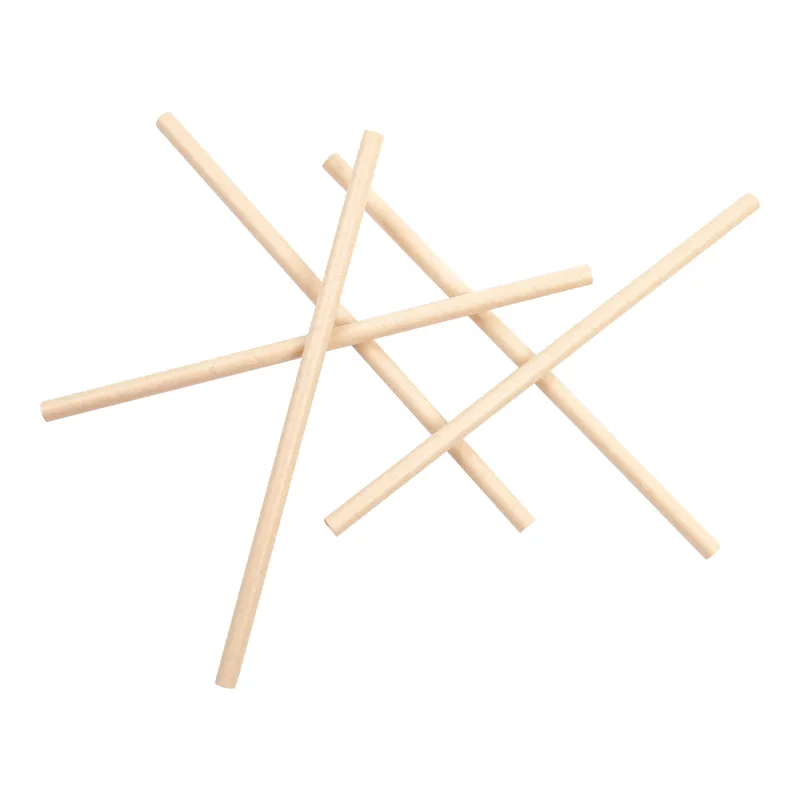 Lot de 3000 Pailles Droites